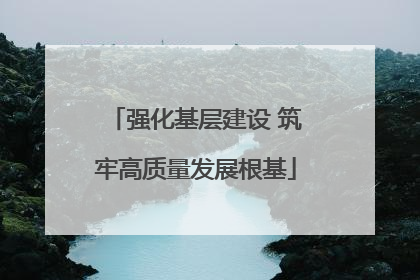 强化基层建设 筑牢高质量发展根基