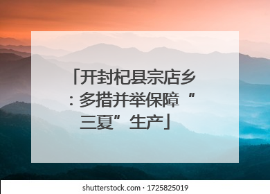 开封杞县宗店乡：多措并举保障“三夏”生产
