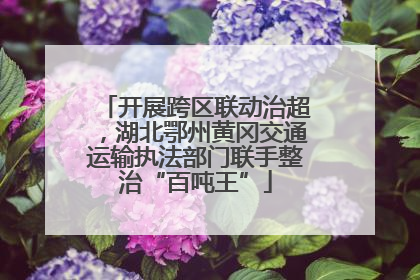 开展跨区联动治超，湖北鄂州黄冈交通运输执法部门联手整治“百吨王”