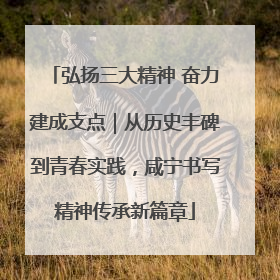 弘扬三大精神 奋力建成支点｜从历史丰碑到青春实践，咸宁书写精神传承新篇章