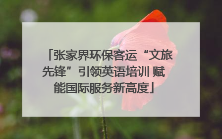 张家界环保客运“文旅先锋”引领英语培训 赋能国际服务新高度