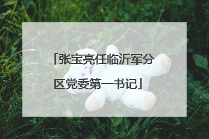 张宝亮任临沂军分区党委第一书记