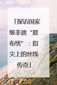 探访国家级非遗“夏布绣”：指尖上的丝线传奇