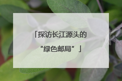 探访长江源头的“绿色邮局”