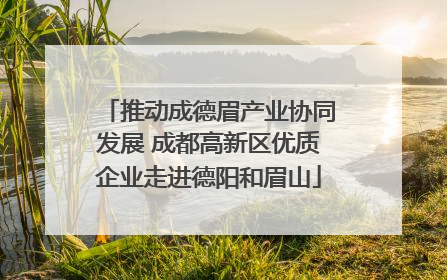 推动成德眉产业协同发展 成都高新区优质企业走进德阳和眉山