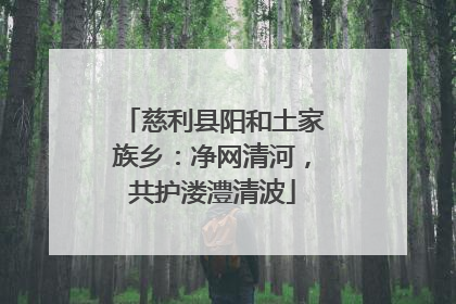 慈利县阳和土家族乡：净网清河，共护溇澧清波