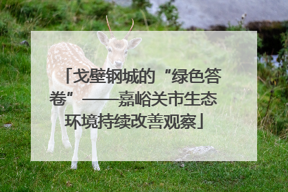 戈壁钢城的“绿色答卷”——嘉峪关市生态环境持续改善观察