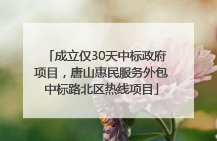成立仅30天中标政府项目，唐山惠民服务外包中标路北区热线项目