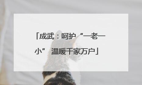 成武：呵护“一老一小” 温暖千家万户