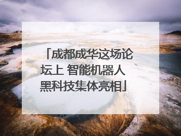 成都成华这场论坛上 智能机器人黑科技集体亮相