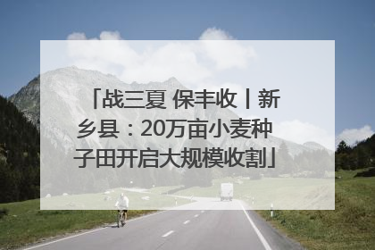 战三夏 保丰收丨新乡县：20万亩小麦种子田开启大规模收割