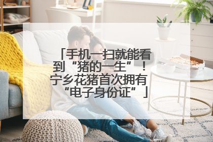 手机一扫就能看到“猪的一生”！宁乡花猪首次拥有“电子身份证”