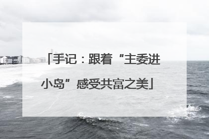 手记：跟着“主委进小岛”感受共富之美