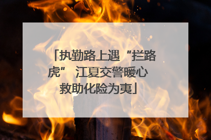 执勤路上遇“拦路虎” 江夏交警暖心救助化险为夷
