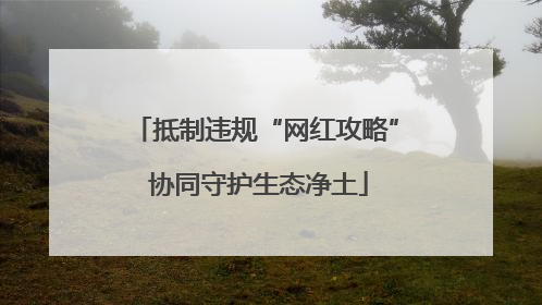 抵制违规“网红攻略” 协同守护生态净土