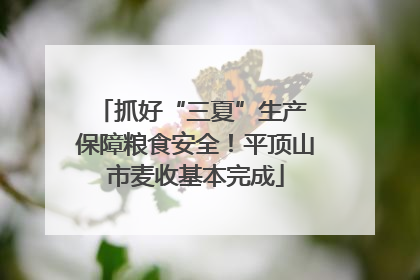 抓好“三夏”生产 保障粮食安全！平顶山市麦收基本完成