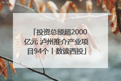 投资总额超2000亿元 泸州推介产业项目94个丨数读西投