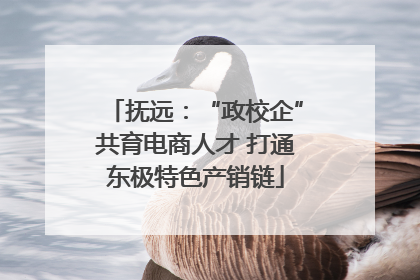 抚远：“政校企”共育电商人才 打通东极特色产销链