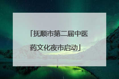 抚顺市第二届中医药文化夜市启动
