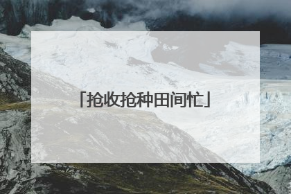 抢收抢种田间忙