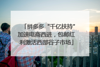 拼多多“千亿扶持”加速电商西进，包邮红利激活西部谷子市场