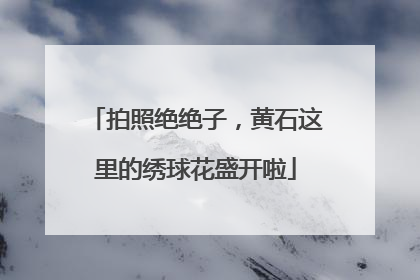 拍照绝绝子，黄石这里的绣球花盛开啦