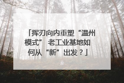 挥刃向内重塑“温州模式” 老工业基地如何从“新”出发？
