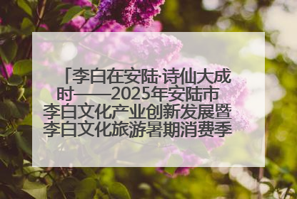 李白在安陆·诗仙大成时——2025年安陆市李白文化产业创新发展暨李白文化旅游暑期消费季活动在武汉启幕