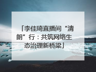 李佳琦直播间“清朗”行：共筑网络生态治理新桥梁