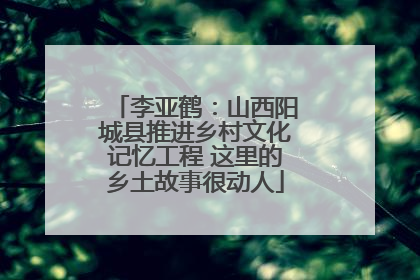 李亚鹤：山西阳城县推进乡村文化记忆工程 这里的乡土故事很动人