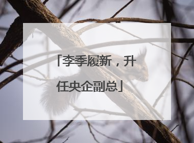 李季履新，升任央企副总