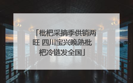 枇杷采摘季供销两旺 四川宝兴晚熟枇杷冷链发全国