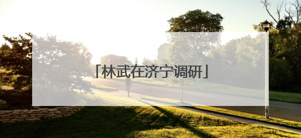 林武在济宁调研