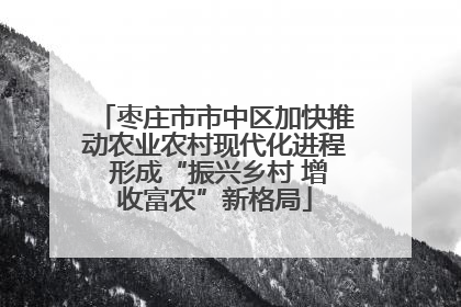 枣庄市市中区加快推动农业农村现代化进程 形成“振兴乡村 增收富农”新格局
