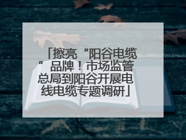 擦亮“阳谷电缆”品牌！市场监管总局到阳谷开展电线电缆专题调研