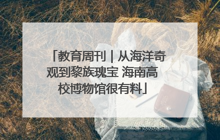 教育周刊｜从海洋奇观到黎族瑰宝 海南高校博物馆很有料