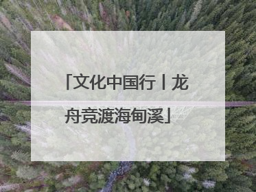 文化中国行丨龙舟竞渡海甸溪
