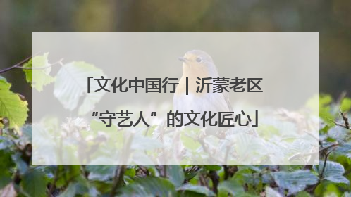 文化中国行｜沂蒙老区“守艺人”的文化匠心