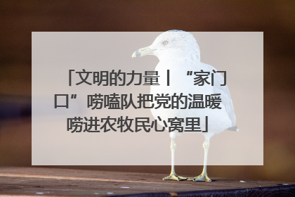 文明的力量丨“家门口”唠嗑队把党的温暖唠进农牧民心窝里