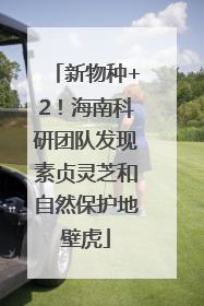 新物种+2！海南科研团队发现素贞灵芝和自然保护地壁虎
