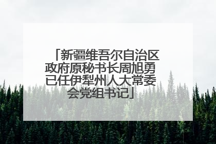 新疆维吾尔自治区政府原秘书长周旭勇已任伊犁州人大常委会党组书记