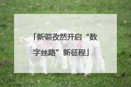 新疆孜然开启“数字丝路”新征程