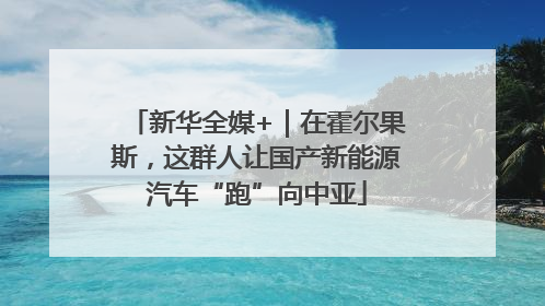 新华全媒+｜在霍尔果斯，这群人让国产新能源汽车“跑”向中亚