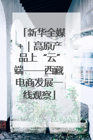 新华全媒+｜高原产品上“云”端——西藏电商发展一线观察