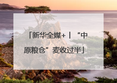 新华全媒+丨“中原粮仓”麦收过半
