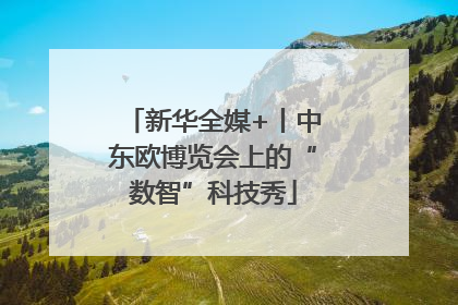 新华全媒+丨中东欧博览会上的“数智”科技秀