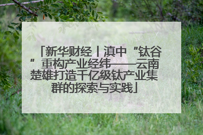 新华财经丨滇中“钛谷”重构产业经纬——云南楚雄打造千亿级钛产业集群的探索与实践