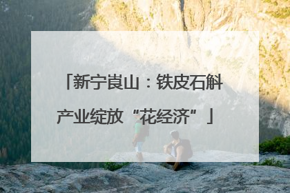 新宁崀山：铁皮石斛产业绽放“花经济”
