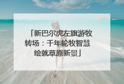 新巴尔虎左旗游牧转场：千年轮牧智慧绘就草原新景