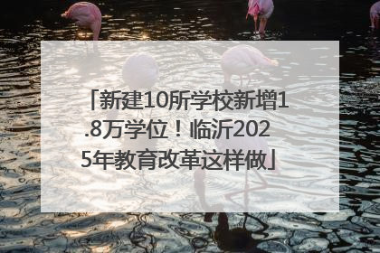 新建10所学校新增1.8万学位！临沂2025年教育改革这样做